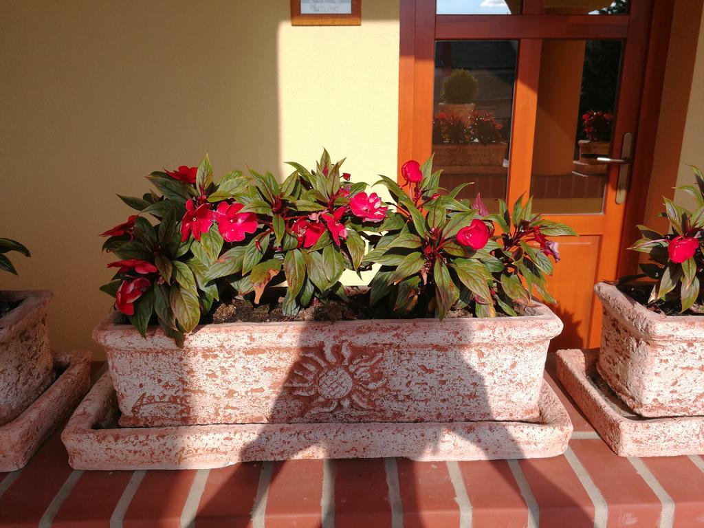 Vitis Vendeghaz Hotel Becsehely Exterior photo